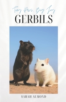 Tiny Paws, Big Joy: Gerbils (LIttle Paws, Big Joy: Pocket Pets) B0FQ35WB59 Book Cover