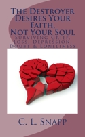 The Destroyer Desires Your Faith, Not Your Soul: Surviving Grief, Loss, Depression, Doubt & Loneliness 1507714440 Book Cover