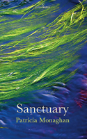 Sanctuary 1908836512 Book Cover