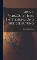 Grosse Vermögen. Ihre Entstehung und ihre Bedeutung 1018190899 Book Cover