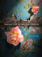 Taking the Homeless Census 1947817140 Book Cover