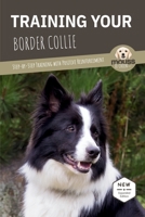 TRAINING YOUR BORDER COLLIE: Step-by-Step Training with Positive Reinforcement B0HC4KS5LP Book Cover