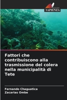 Fattori che contribuiscono alla trasmissione del colera nella municipalità di Tete (Italian Edition) 620774540X Book Cover