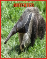 Anteater: Super Fun Facts And Amazing Pictures B08W6P2FN8 Book Cover