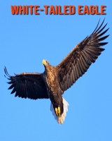 White-Tailed Eagle: Beautiful Pictures & Interesting Facts Children Book About White-Tailed Eagle B08M8RJHF6 Book Cover