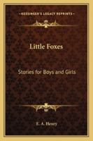 Little Foxes: Stories for Boys and Girls 1023349051 Book Cover