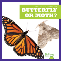 Spot the Difference: Butterfly or Moth? 1636903401 Book Cover