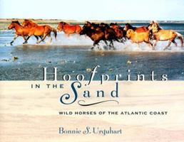 Hoofprints In The Sand: Wild Horses of the Atlantic Coast 1581500742 Book Cover