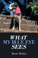 What My Blue Eye Sees B0GKBNDR1B Book Cover