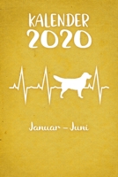 Kalender 2020: Gelber Tageskalender Golden Retriever Herzschlag Hunde 1. Halbjahr Januar Juni ca DIN A5 weiß über 190 Seiten 1650648529 Book Cover