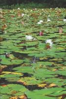 A PLEASANT PLACE 1797561103 Book Cover