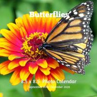 Butterflies 8.5 X 8.5 Photo Calendar September 2019 -December 2020: Monthly Calendar with U.S./UK/ Canadian/Christian/Jewish/Muslim Holidays-Butterfly Insects Nature 1072718715 Book Cover