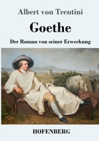 Goethe (Gro�druck) 3743732211 Book Cover