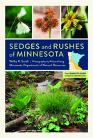 Sedges and Rushes of Minnesota: The Complete Guide to Species Identification 1517902754 Book Cover