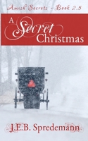 A Secret Christmas: Amish Secrets 1940492378 Book Cover