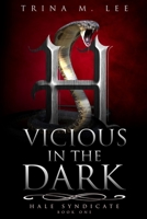 Vicious in the Dark B0B47CDNWB Book Cover