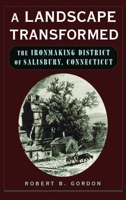 A Landscape Transformed: The Ironmaking District of Salisbury, Connecticut 0195128184 Book Cover