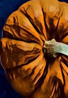 Halloween Activity Book 1723990787 Book Cover