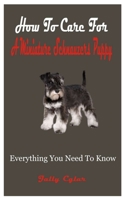 How To Care For A Miniature Schnauzer Puppy: Everything You Need To Know B0F78WMW6N Book Cover