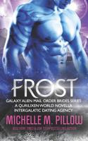 Frost: A Qurilixen World Novella 1625012195 Book Cover