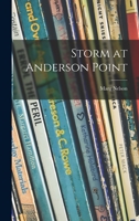 Storm at Anderson Point 101386252X Book Cover
