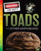 Toads and Other Amphibians 1731638248 Book Cover