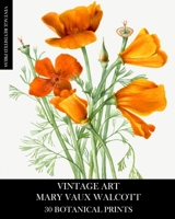 Vintage Art: Mary Vaux Walcott 30 Botanical Prints 1006567925 Book Cover