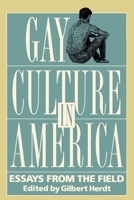 Gay Culture In America 0807079154 Book Cover