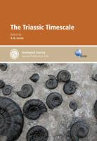 The Triassic Timescale   Special Publication 334 (Geological Society Special Publication) 186239296X Book Cover
