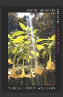 Poetic Moments from the Secret Place B086Y5M9DY Book Cover