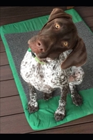 Zara the Geeper's 2019 Dog Blog : Musings of an Exceptioal Dog 165482951X Book Cover