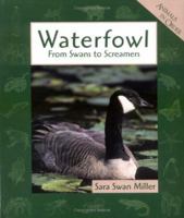 Waterfowl: From Swans to Screamers (Animals in Order) 0531115844 Book Cover