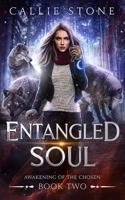 Entangled Soul: A Rejected Mates Shifter Romance B0B5KNWXXJ Book Cover