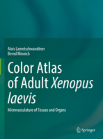 Color Atlas of Adult Xenopus laevis: Microvasculature of Tissues and Organs 3031051092 Book Cover