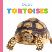 Baby Tortoises (Starting Out) 1682775771 Book Cover