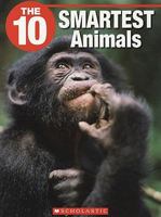 The 10 Smartest Animals 1554485126 Book Cover