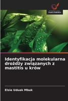 Identyfikacja molekularna drozdzy zwiazanych z mastitis u krów (Polish Edition) 6202345667 Book Cover
