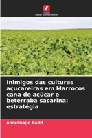 Inimigos das culturas açucareiras em Marrocos cana de açúcar e beterraba sacarina: estratégia 6206191214 Book Cover
