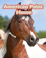 American Paint Horse: Facts Book B0C1DL7D74 Book Cover