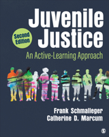 Juvenile Justice: An Active-Learning Approach 1544300417 Book Cover