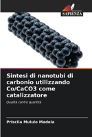 Sintesi di nanotubi di carbonio utilizzando Co/CaCO3 come catalizzatore (Italian Edition) 6202458577 Book Cover