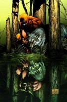 Wolverine: Origins, Volume 1: Born in Blood 0785122850 Book Cover