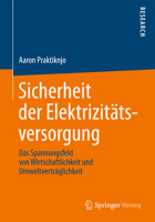 Sicherheit Der Elektrizitatsversorgung: Das Spannungsfeld Von Wirtschaftlichkeit Und Umweltvertraglichkeit 3658043431 Book Cover