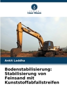 Bodenstabilisierung: Stabilisierung von Feinsand mit Kunststoffabfallstreifen 6205744538 Book Cover