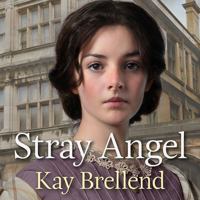 Stray Angel 0349425167 Book Cover