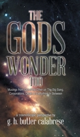 The Gods Wonder Too: Musings From Out of the Ether 0228814723 Book Cover
