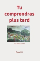 Tu comprendras plus tard: Roman 2322375411 Book Cover