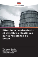 Effet de la cendre de riz et des fibres plastiques sur la résistance du béton (French Edition) 6207790987 Book Cover