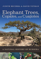 Elephant Trees, Copales, and Cuajiotes: A Natural History of Bursera 0816551944 Book Cover