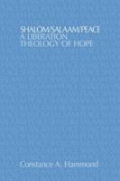 Shalom/Salaam/Peace: A Liberation Theology of Hope in Israel/Palestine (Religion and Violence) 1845533801 Book Cover